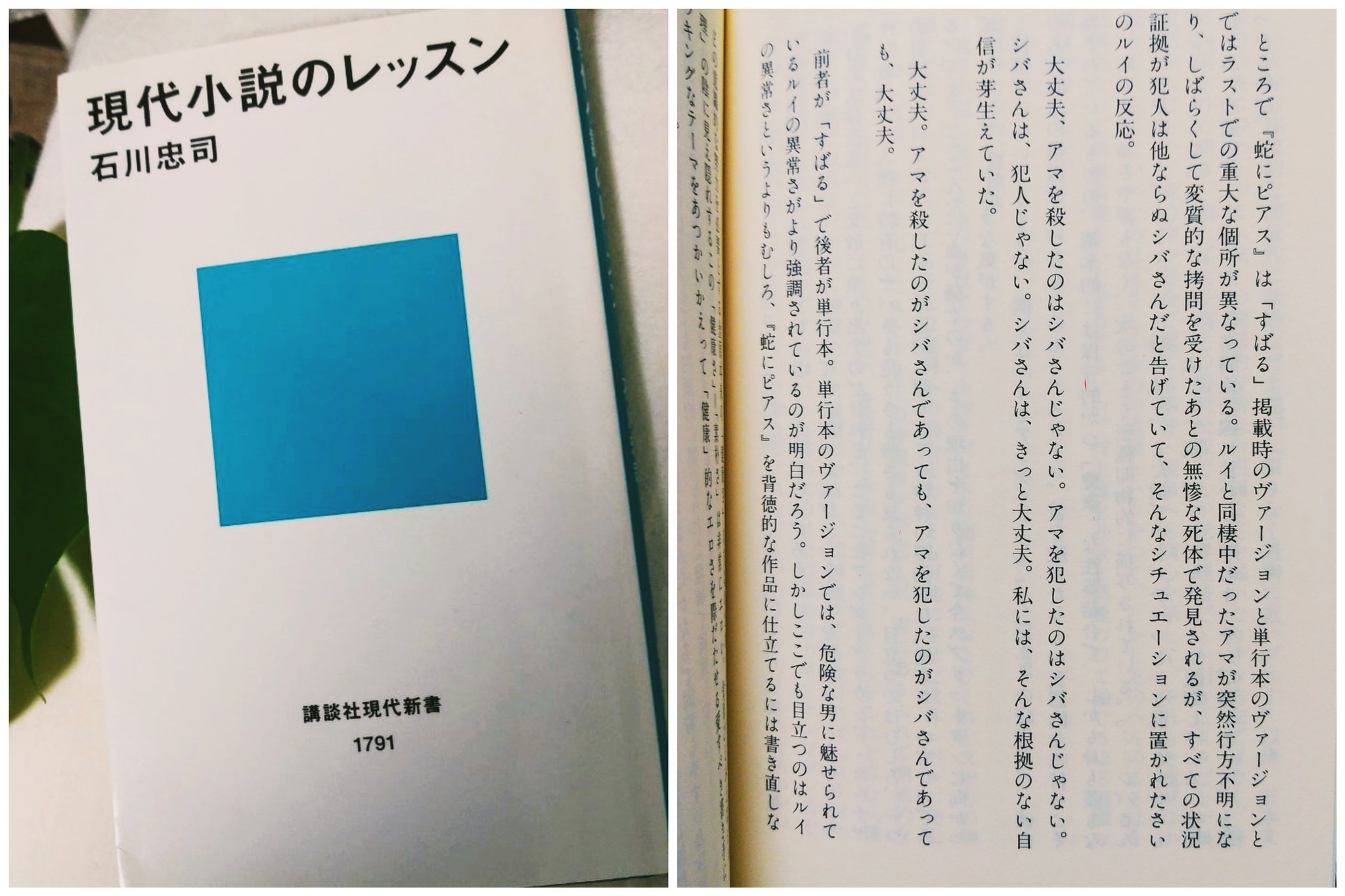 تويتر 倉本さおり على تويتر 石川忠司さんが 現代小説のレッスン でも言及 してることですが 金原ひとみさんの 蛇にピアス は じつは初出のすばる掲載時と単行本バージョンで 大丈夫 という語の使い方においてテクストに大きな差異があります そこから今作