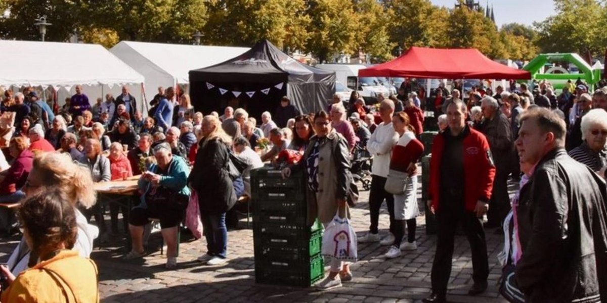 Grossflecken Traola Twitterren