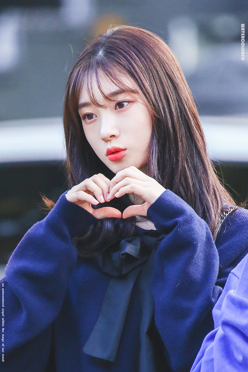 오늘도 채연한 하루 tweet media