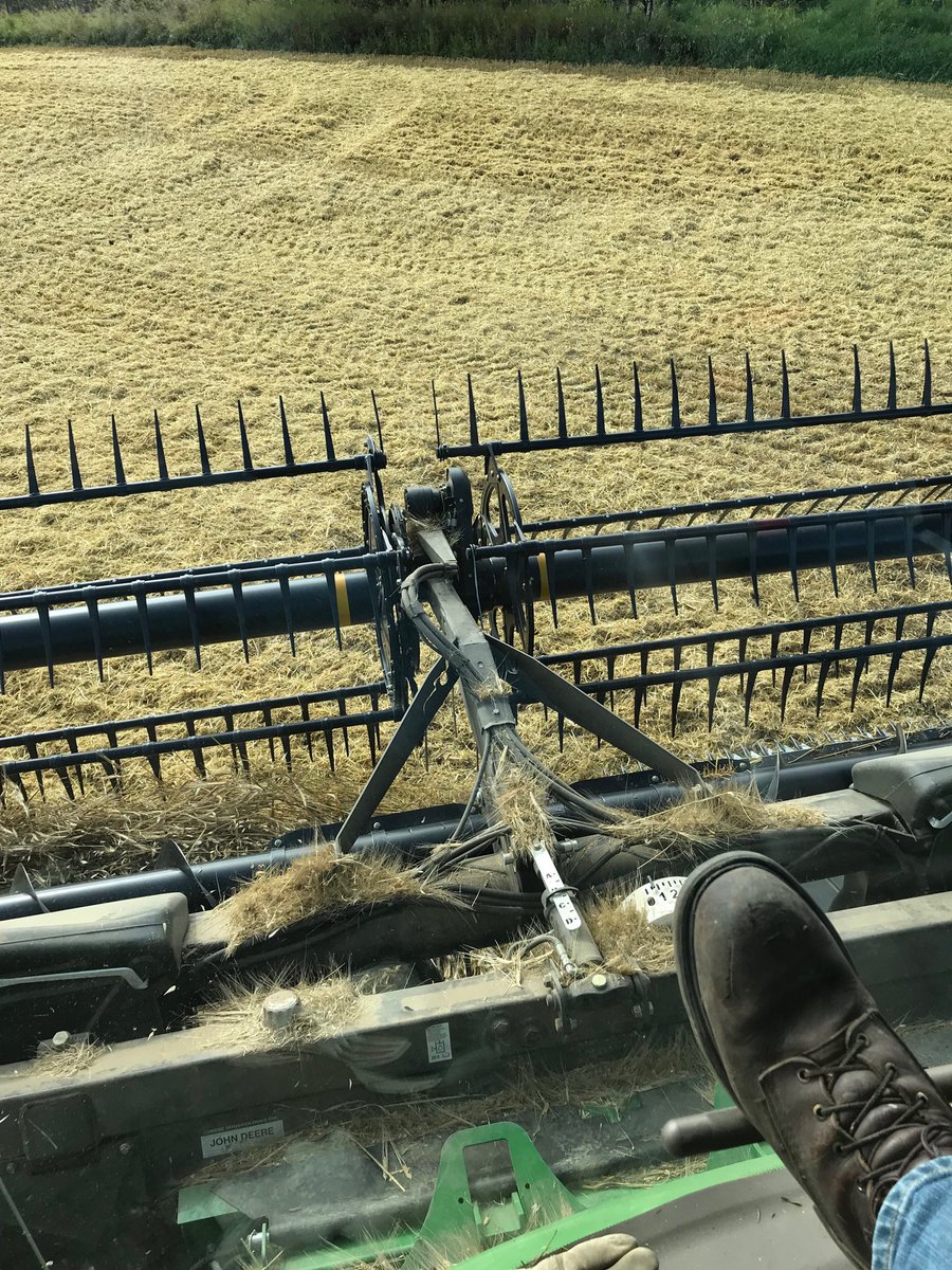 dcrich1's tweet photo. This little guy finally got a ride in a “real combine”. Said it was one of the best days ever and he would like to do it all day. Thanks to Dave and Robin Davidson and Eddie the combine driver for this. #farminglife https://t.co/PXOwX66ixH