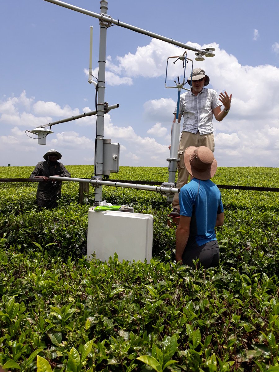 odee_david's tweet photo. @EvansJonG &amp; @drylett @CEHScienceNews servicing the @FCFAhycristal Climate/Sensible Heat Station at James Finlays Marinyn Tea Estate Kericho, Kenya. Great to witness the deft operation. This site is to benchmark future installations that we are advocating in the region @iLEAPS. https://t.co/0gpEJ00bU6