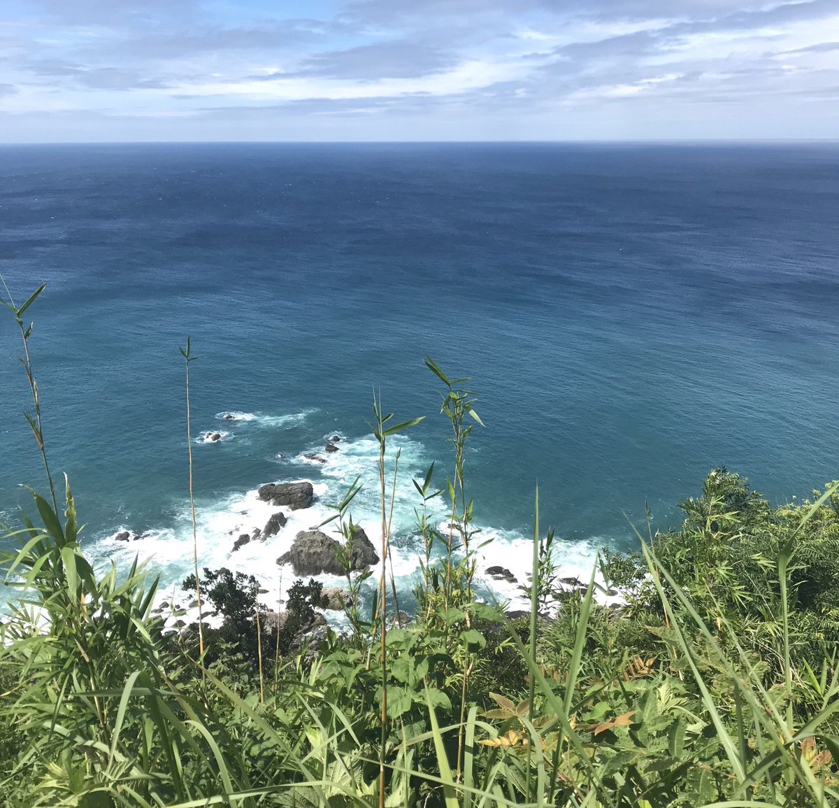 FX1SS1's tweet image. 稼げない・儲けたいからって
なんですぐEAやコピトレに走るかな？

それじゃ、
提供者いなくなったら終わりだよ？

そっち側にならない限り
一生頼りっぱなしの変わらない生活。
会社と同じ。

本当に身になるスキルで
独立する方が賢くないですか？

⬇︎まずはここから
nav.cx/irmrmIY