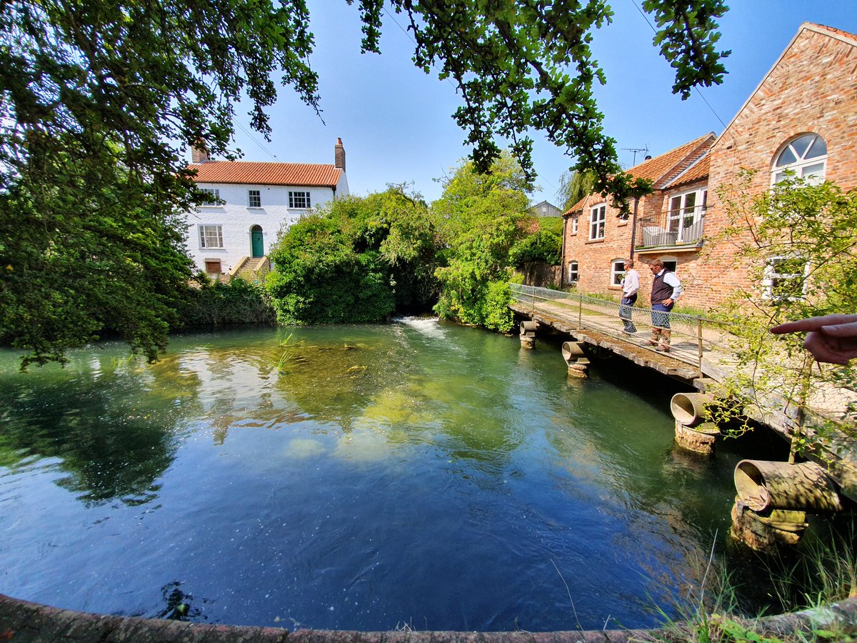 Dr Mhari Barnes tweet media