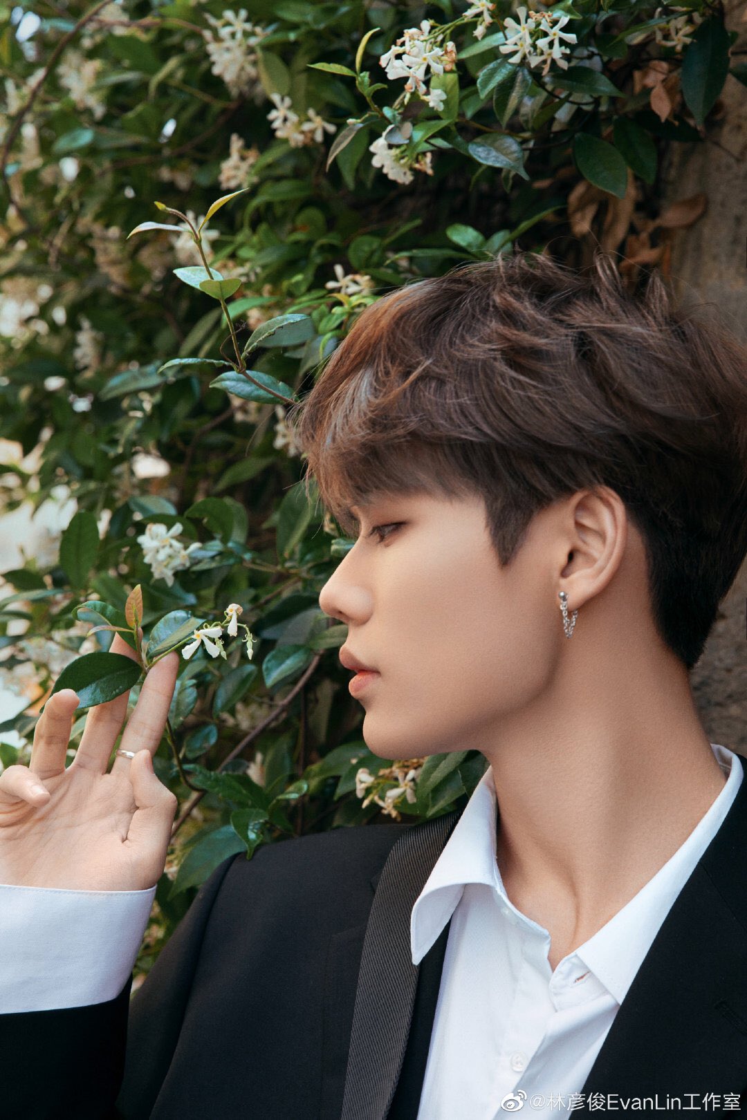 Lin yanjun twitter sale