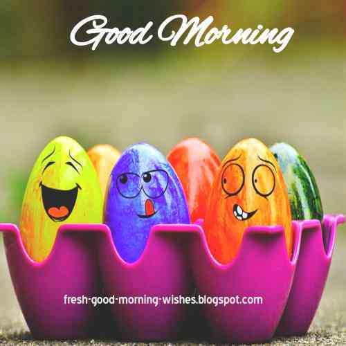 Good Morning Wishes on Twitter: Good Morning Wishes on Twitter: