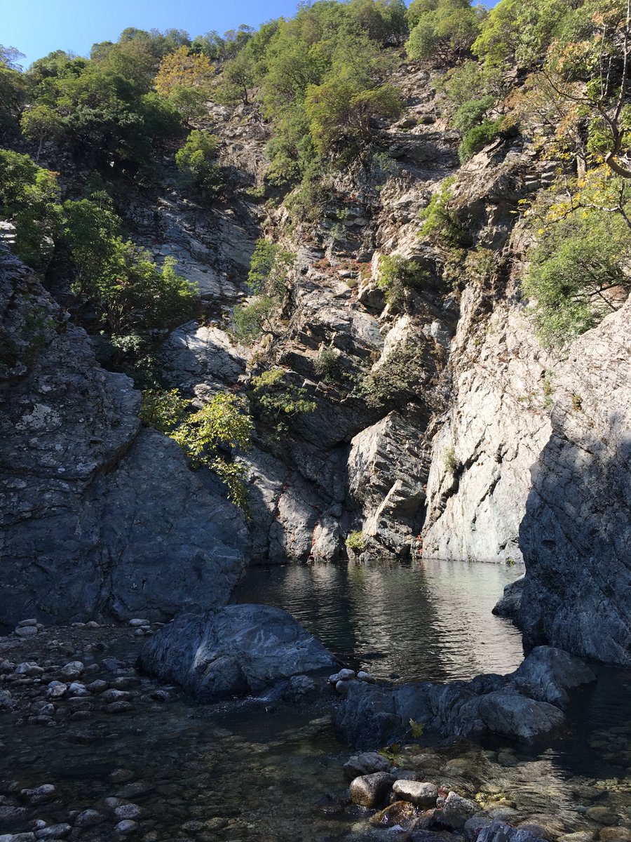 Gerald Albrecht tweet media