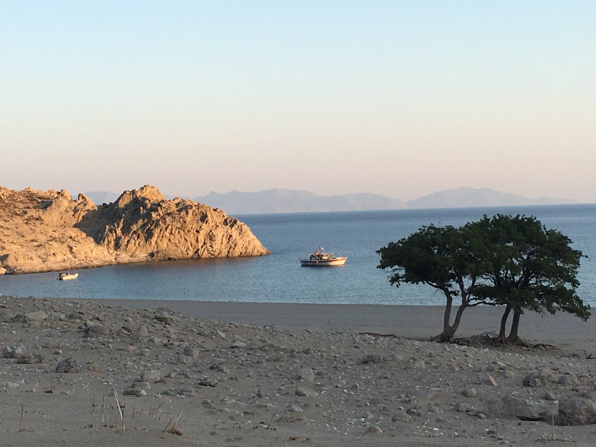 Gerald Albrecht tweet media