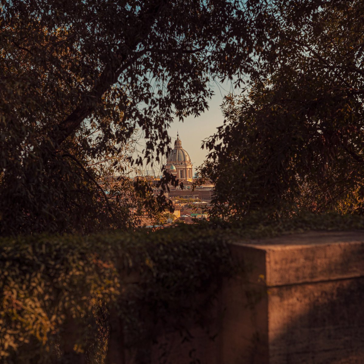 PhGiulia97's tweet photo. https://t.co/AchkOFWaqd
#Italy #photography #instagram #Roma #romane #streetphotography #natural #nature #museitaliani #sunset #traveling #travelphotography https://t.co/Kjdh9pNGlv