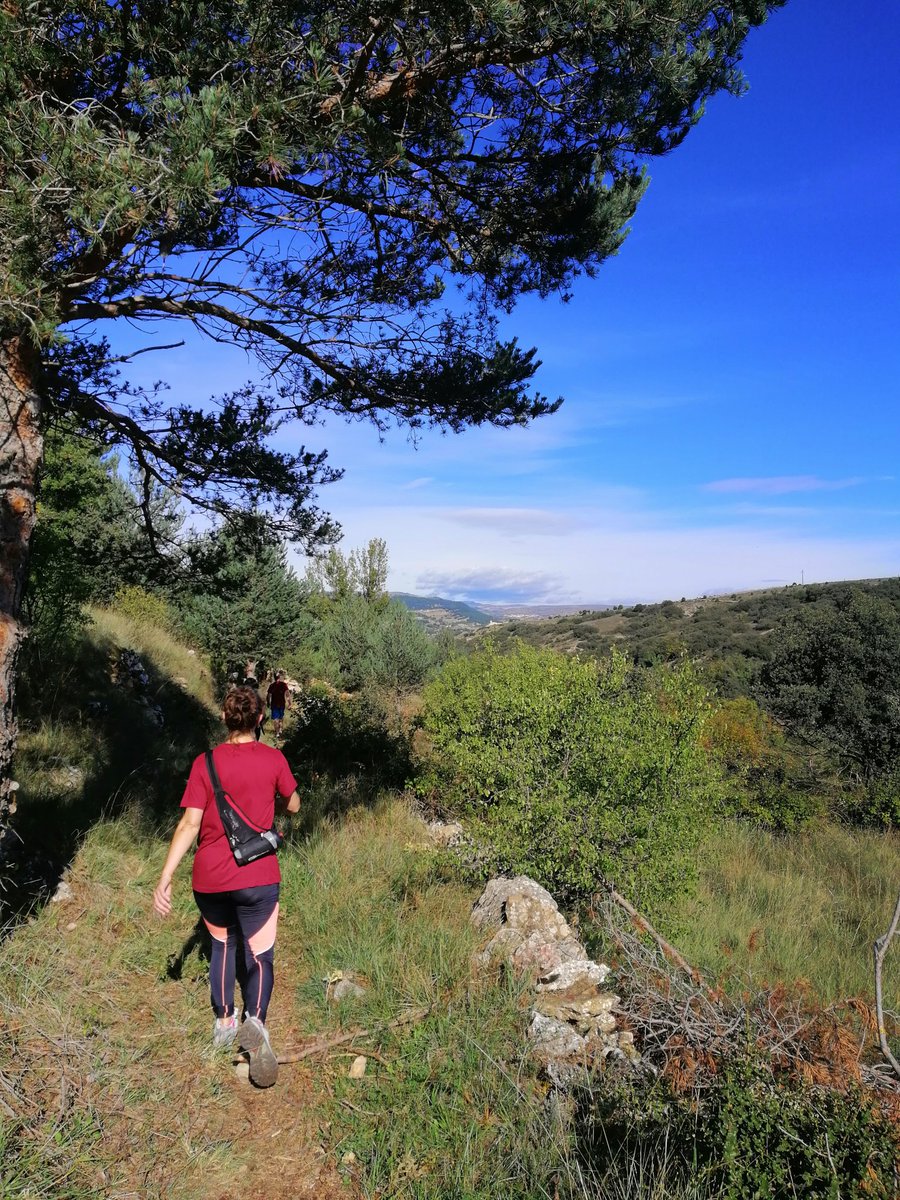 pautrobadorets's tweet photo. Quin matí més bonic hem passat en l' @entreparets
Donar l'enhorabona a l'organització i les gràcies a tota la gent voluntària que fa, any rere any d'aquesta carrera una festa per a tot el poble.
#Entreparets
#Vilafranca
#CapitalCultural https://t.co/Blx614RXfe
