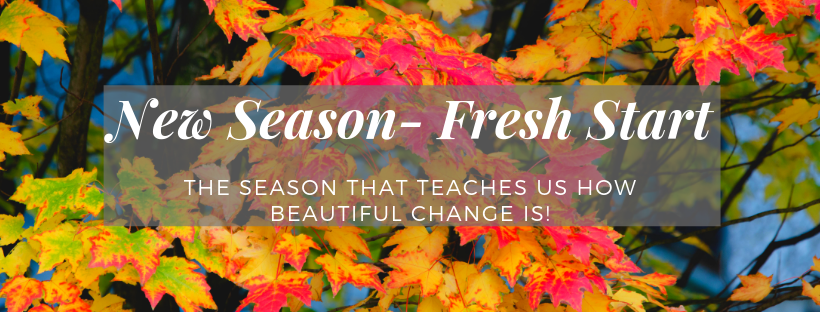 teamfirepower's tweet photo. Our astronomical start of Fall will occur overnight - If there were plans that you made in January that you haven't acted on, it's not too late. What will you do with the last 100 days of 2019?
#teamfirepower #fitness #crossfit #nutrition #nutritioncoaching #milton #rcfp https://t.co/IdGbOmvGiS
