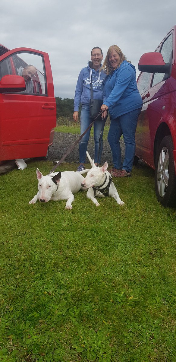 _Jimsgarage's tweet photo. Vinnie meeting up with ice @CatonMarie @BullVinnie @fionadogwalker https://t.co/Ee6022sQaS