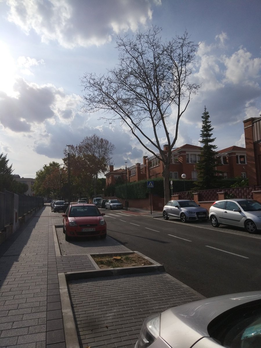 AnaGJ59's tweet photo. @ARBA3c Mientras, en Tres Cantos tienen que cortar los árboles que murieron con la remodelación de las aceras...#medueletrescantos @javierjuarez80 https://t.co/gfcELB5gdQ