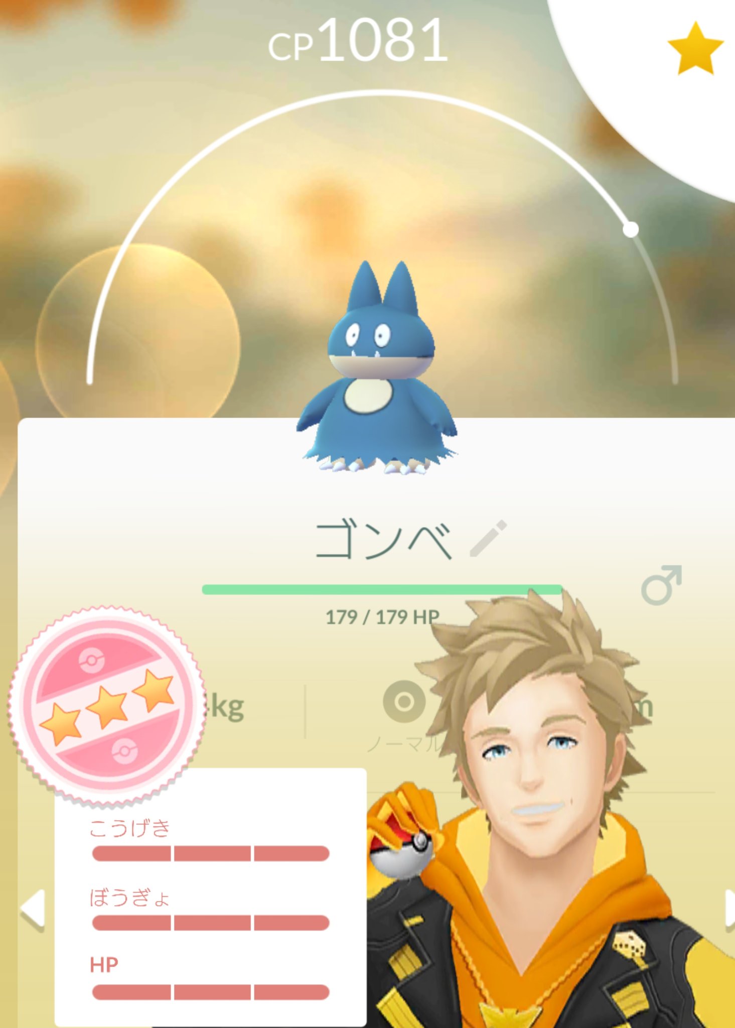 白いロコン Twitter Search Twitter