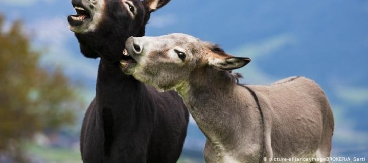 #Leak ist eh nur Twitter also hier ein Bild von mir und <a href="/jiggelvic/">Spoiit</a> :D