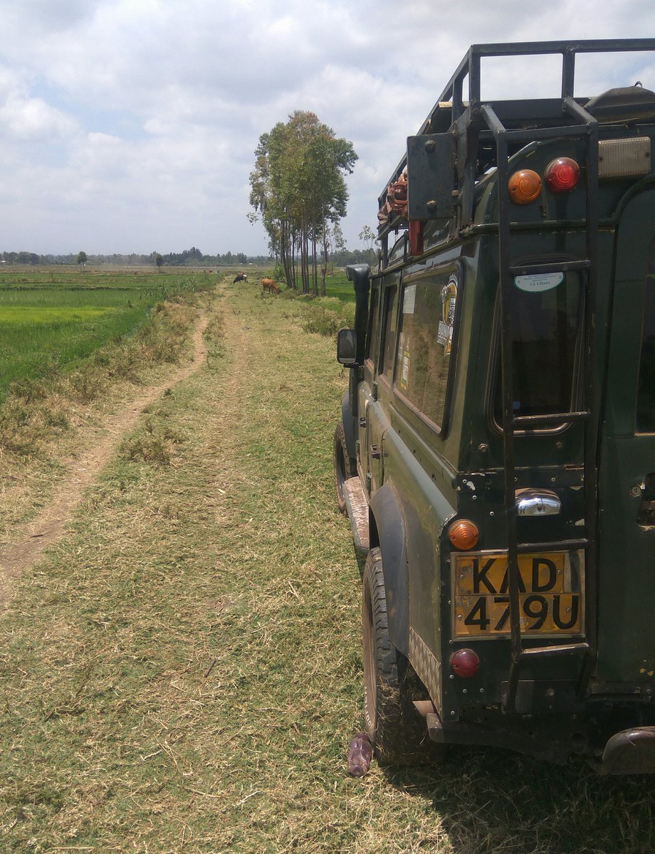 Out and about ... Kirinyaga County