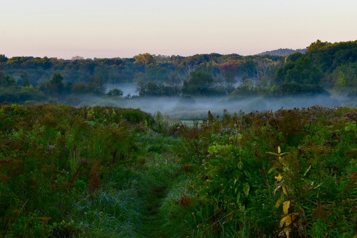 Foggy Fall morning over Flyers Field at Mary Cummings Park ⁦@thetrustees⁩ #burlingtonma #burlingtonconservation #naturalmassachusetts #nikon #NaturePhotography