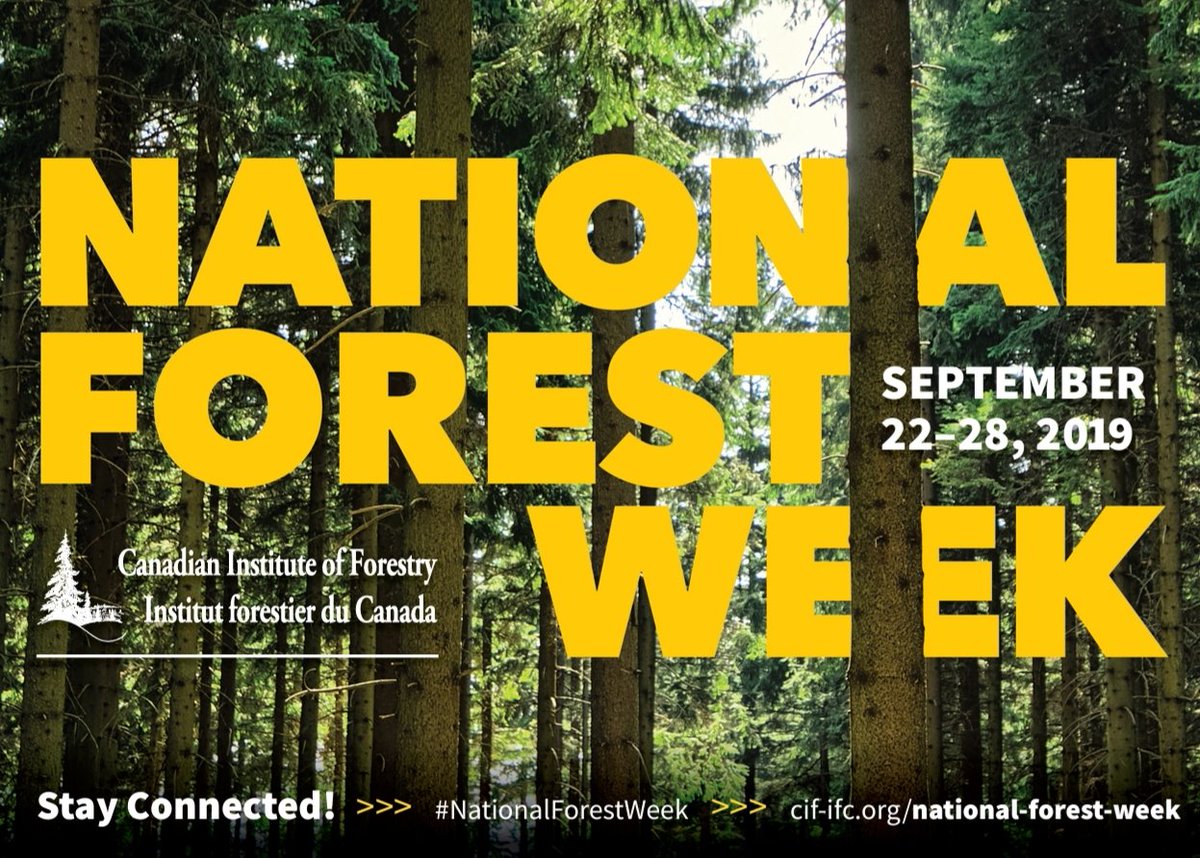 rpfnl's tweet photo. It's National Forest Week!! 
Forests are fundamental to our economy, culture, traditions and history – and to our future. We are proud to be stewards of this vital and renewable resource. #nationalforestweek https://t.co/VB64000WWl