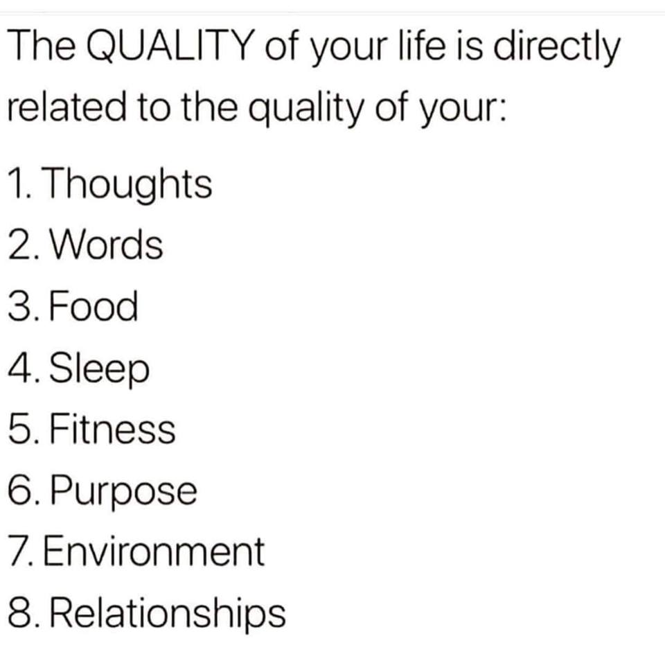 Here's a great one from the facebook Empowering Freedom account:  The quality of your life is directly related to the quality of your: