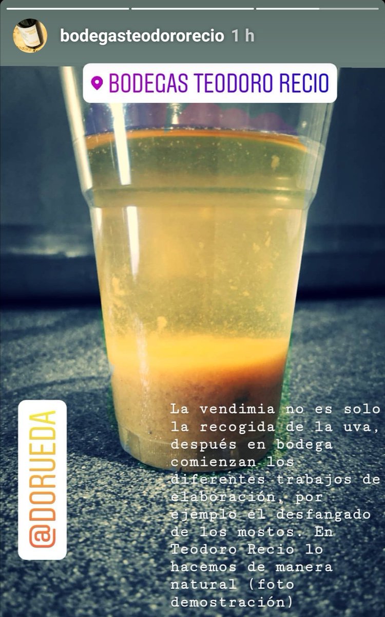 Siguenos en #Instagram para conocernos mejor #verdejo #dorueda #laseca #winetourism #winelovers
 instagram.com/stories/bodega…