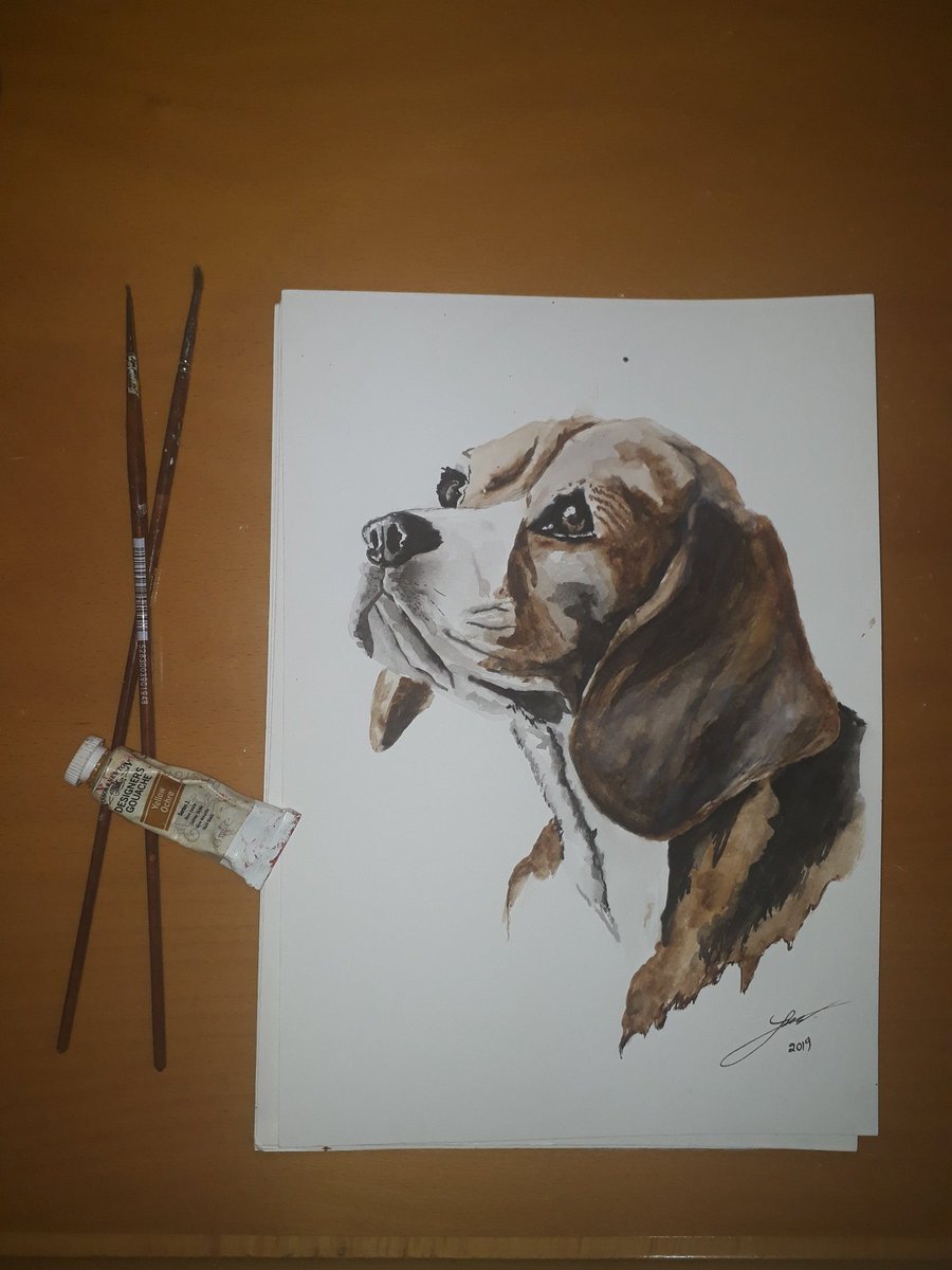 artandglory1's tweet photo. Watercolour beagle dog drawing🐶
#watercolor #waterpainting #dog #beagles #beagle #beaglesofinstagram #puppy #painting #art #artworld #artist #animal #drawings #drawing #artworkers #arts #acrylicpainting #acrylic #beaglepuppies #dogs #decor #paintings #artanddesign  #gouache https://t.co/Xf45eHduRj