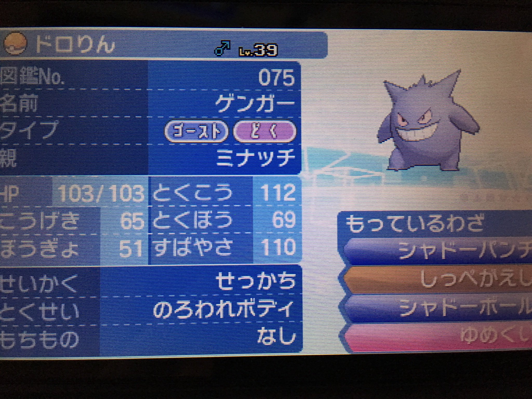 ひややっこ 数ヶ月ぶりにシンオウに戻ってきて キッサキシティでチャーレムと交換できるゴーストの ドロりん をウルトラサンムーンに連れてきてゲンガーに進化させたよ 当時は ゲンガーが手に入る って思ってたのに かわらずのいし 持ちで進化し