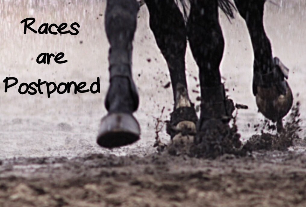 Iowa Harness Racing on Twitter "Today’s races at What Cheer have been