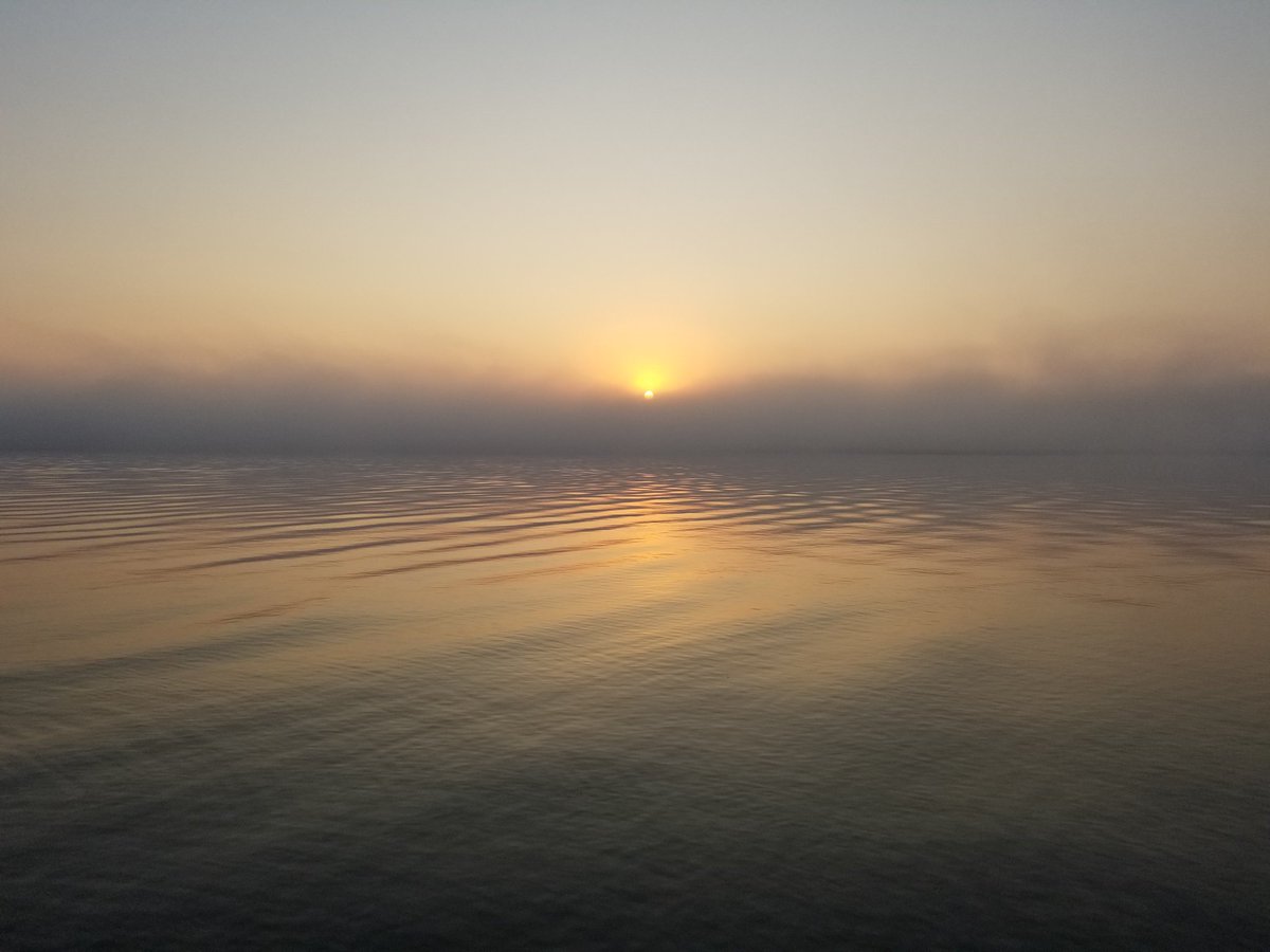 UPTreefarmer's tweet photo. Sunrise yesterday morning at #DecompressU #Airbnb #Chassell #RusticCabinwithSauna #Keweenaw #upperpeninsula #PureMichigan https://t.co/0qZTSZRFFw https://t.co/mbJZTAKVms