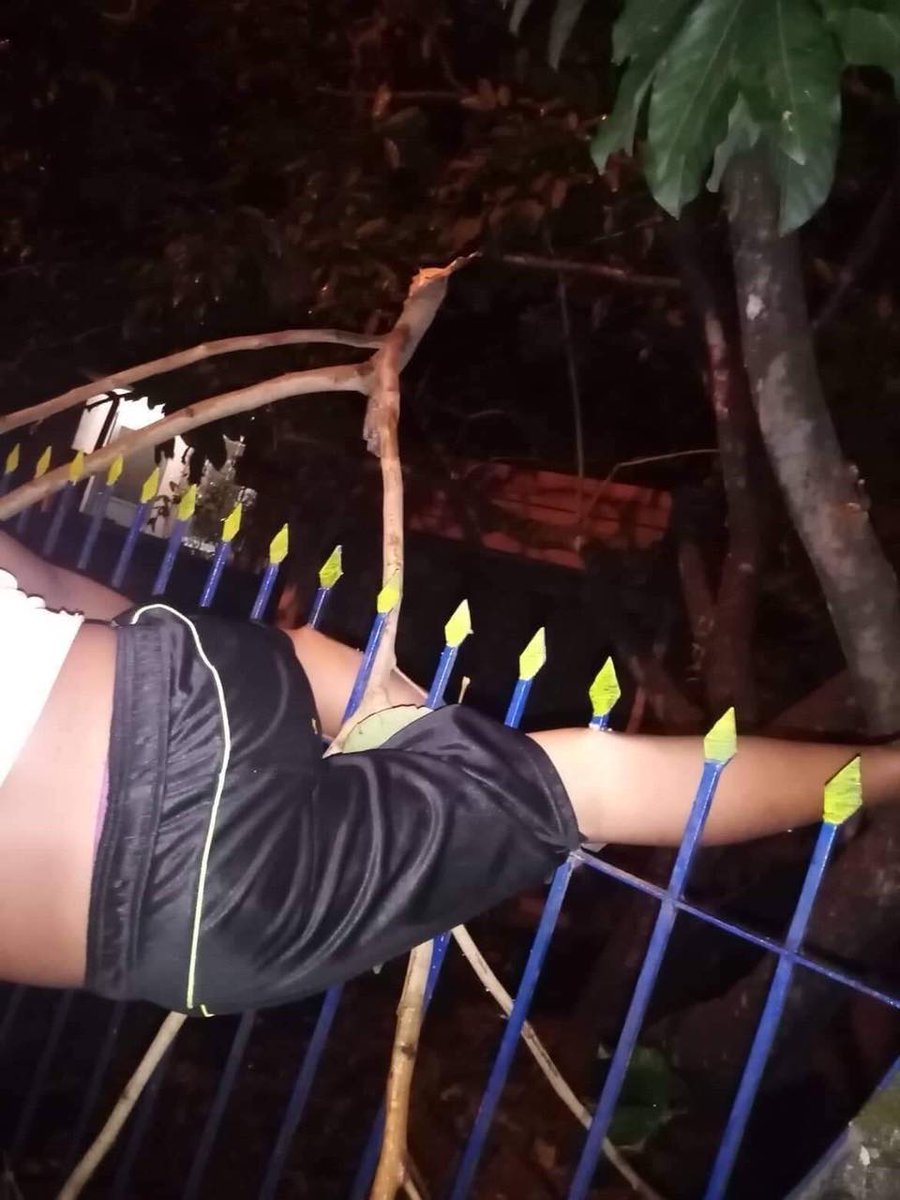 gmanews's tweet photo. Nang dahil sa pagpitas ng rambutan, natuhog ang binatang ito sa gate! #KMJS https://t.co/4ZdDach5XW