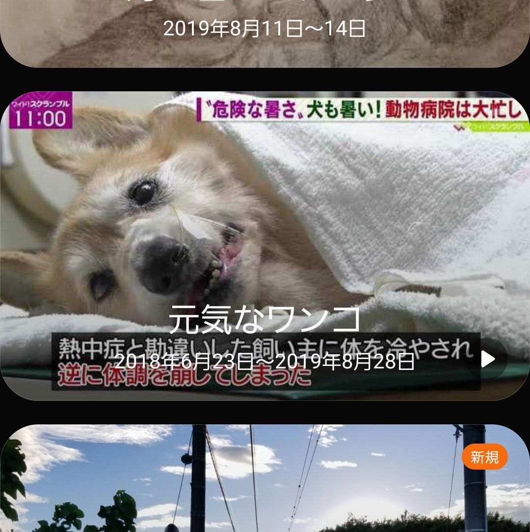 猋 元気なワンコ 熱中症と勘違いした飼い主に体を冷やされ逆に体調を崩してしまった