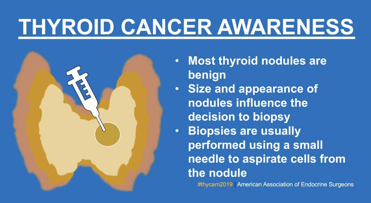 TheAAES's tweet photo. Most thyroid nodules are benign, and many do not warrant biopsy. However, a biopsy may be recommended based on a combination of factors including the size and appearance of the nodule. #THYCAM2019 #CheckYourThyroid @AmThyroidAssn @ThyCaInc @TheAACE @TheEndoSociety https://t.co/hc1a3MNx9u