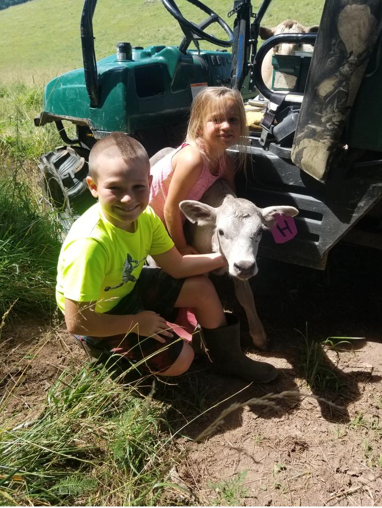 SouthernLifeApp's tweet image. Less than 2% of our nation's population are involved with #agriculture, less than 1% is directly involved with the production of Beef. We are raising our children with a love and respect for the land as well as the animals. @therealdonaldtrump time to step in.
#faircattlemarkets