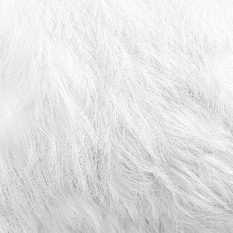 PetsmileUSA's tweet photo. Furball + Petsmile = #happypet #love https://t.co/cxgkgruoYJ