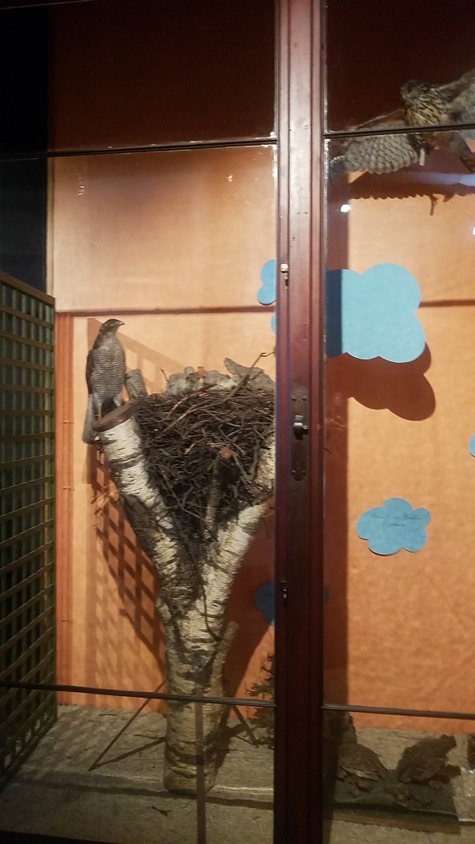 ElijahdT's tweet photo. Dernière visite au #museezoologiquestrasbourg avant 2023 et super concert des wonderbass! https://t.co/xue6sFmNoj
