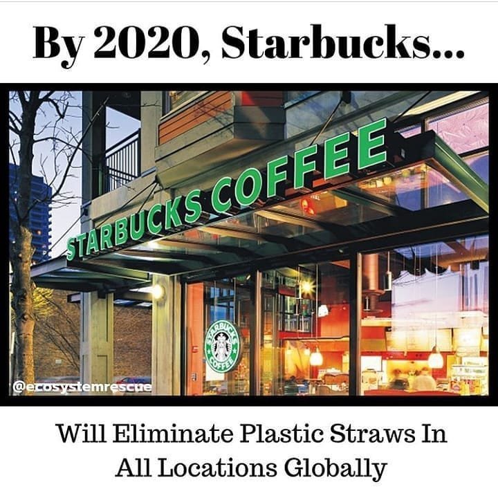 ShiBambooStore's tweet photo. Read full here: https://t.co/JVMHbOMgam

#Starbucks #coffee #coffeeshop #plasticban #PlasticFreeIndia #plasticfree #plasticpollution #Plastic #savetheocean #barista #coffeebean #Straw #Ecofriendly https://t.co/eObxYa05WO