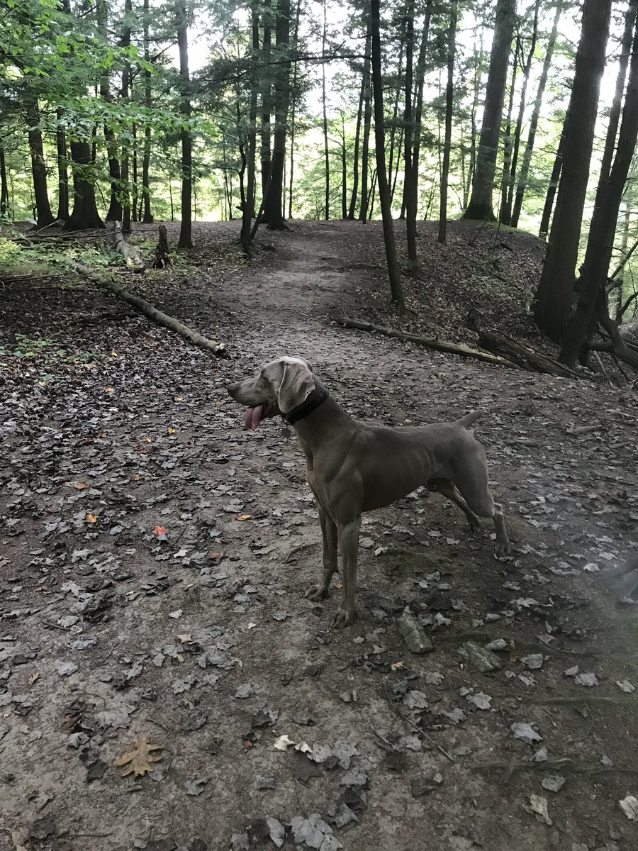 Taking Sunday morning walks in nature to clear my head before getting myself organized for the week is how I make mental health a priority. #MentalHealthMatters