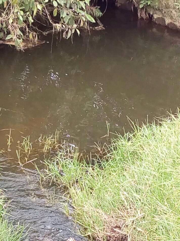 soydeituango's tweet photo. #DenunciaCiudadana Soy Leonardo Builes Concejal Mpio @DonmatiasSTodos Esta es la quebrada la Piedrahíta #Surte Acueducto Mpal, en su recorrido es contaminada X estiércol de cerdos #Abonos #Huele feisimo al salir X las canillas @Corantioquia @amoramartinez1 @luisyepesb @roures1 https://t.co/OheZeGY3yP