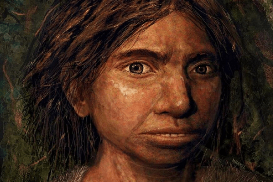 ToTrend2's tweet image. Researchers Just Created Picture of What Our Ancient Ancestor Looked Like Using DNA totrend.online/researchers-ju…