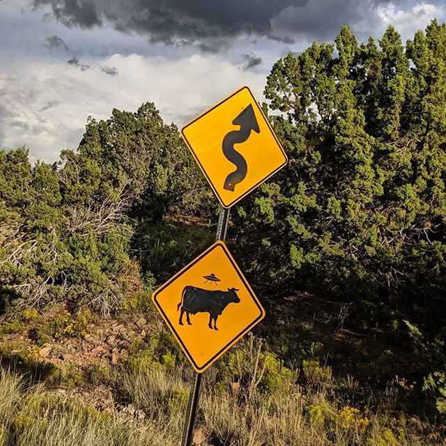Yep... That's an alien cow abduction. Standard roadsign. #NM #NewMexico #roadsigns #roadtrip ift.tt/2NriDht
