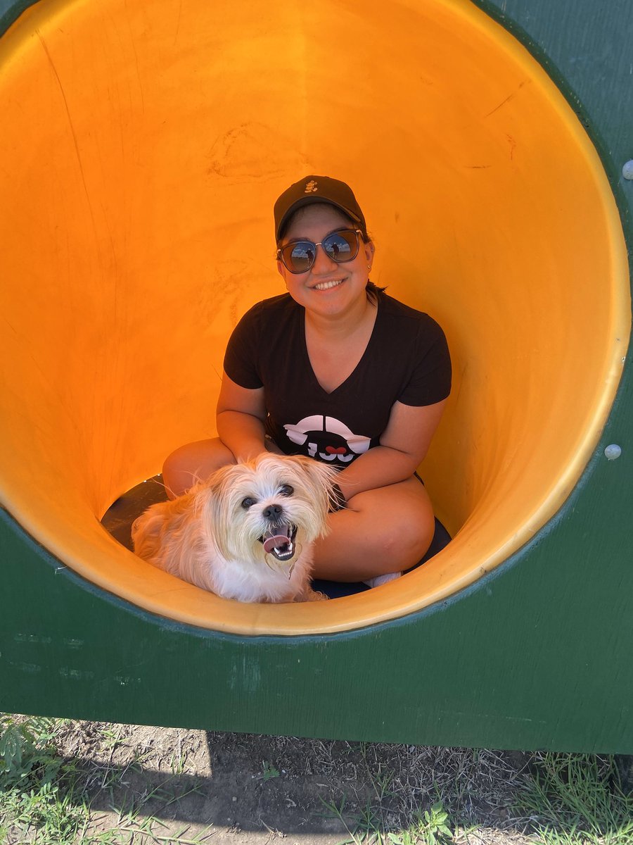 apuppynamedsky's tweet photo. Mommy &amp; Daddy took me to the park but it was way too hot so I stayed in this tube that had shade &amp; mommy joined me 😁 https://t.co/hhuPJ64a0D