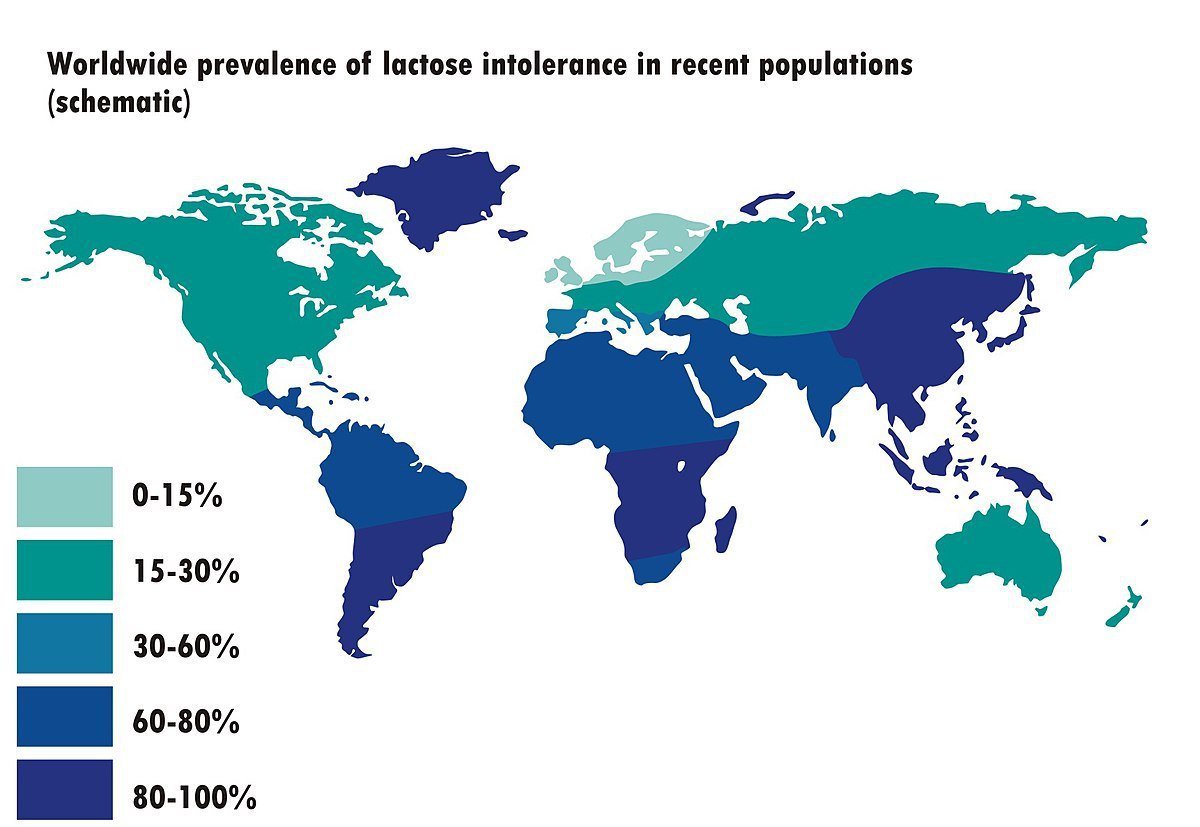 adelinachandra's tweet photo. I posted a question about this map on my instagram story yesterday. I find it super interesting to understand why do we have such pattern. I haven't really thought about lactose intolerance until now. #spatialtalk https://t.co/Ek7pkBFKeu