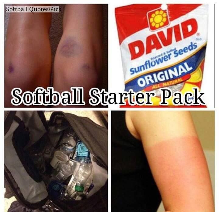 BCHS__Softball's tweet photo. Wʜᴏ ɪs ʀᴇᴀᴅʏ ғᴏʀ ᴛʜᴇ 2020 Sᴏғᴛʙᴀʟʟ Sᴇᴀsᴏɴ?  Informational meeting Wednesday, September 25th at lunch, in the Student Union Meeting Room. Any and ALL girls interested in playing softball needs to be there!! https://t.co/afqawC249B