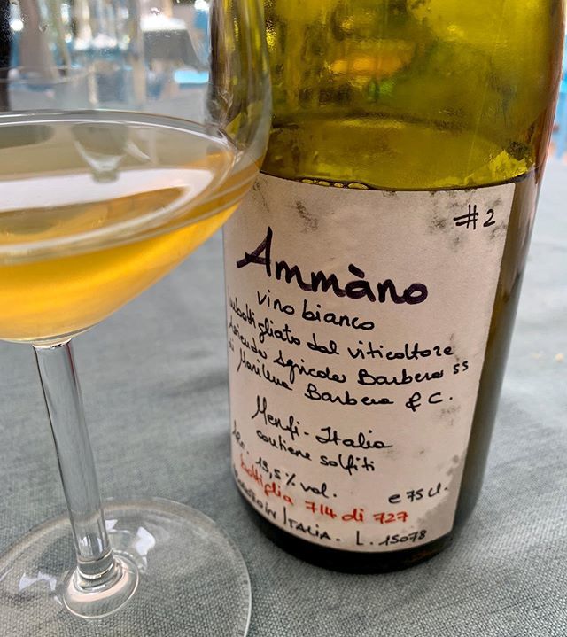 michelebuscemi's tweet photo. Insieme al caro amico @nicoseverino4 degustiamo una chicca che conservo da anni. Mi sa che presto organizzo una verticale. 
#Ammàno n.2 #cantinebarbera 
100% Zibibbo
Hand-picked, spontaneous fermentation, dry vinified. Unfiltered. Great aromatic complexi… https://t.co/x7uJVMJ4Hi https://t.co/xffyjKTV1I