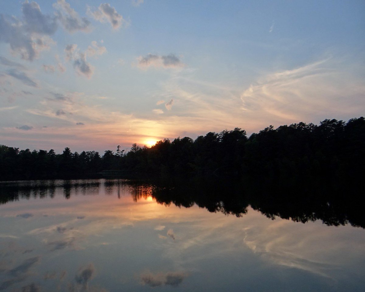 Submit your photos to the 2019 Pine Bush Perspectives juried photo exhibit by Oct 1. Entrants may be any age or skill level. AlbanyPineBush.org/photo-exhibit