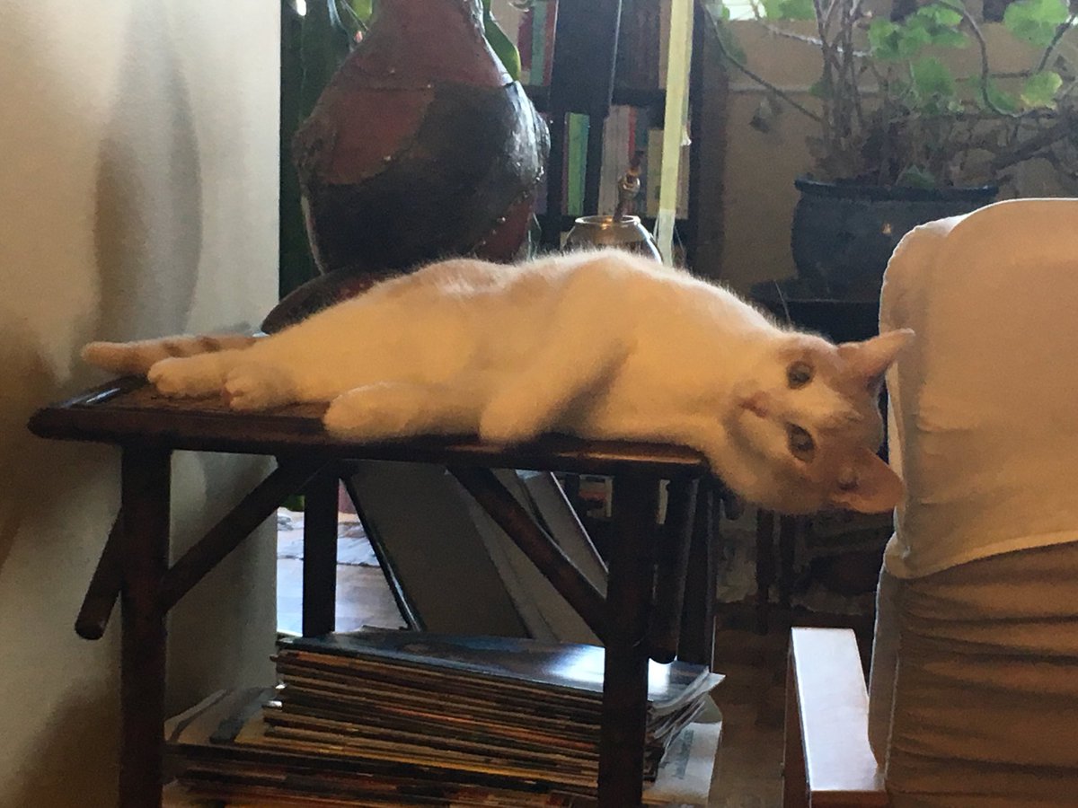 RTHey's tweet image. 