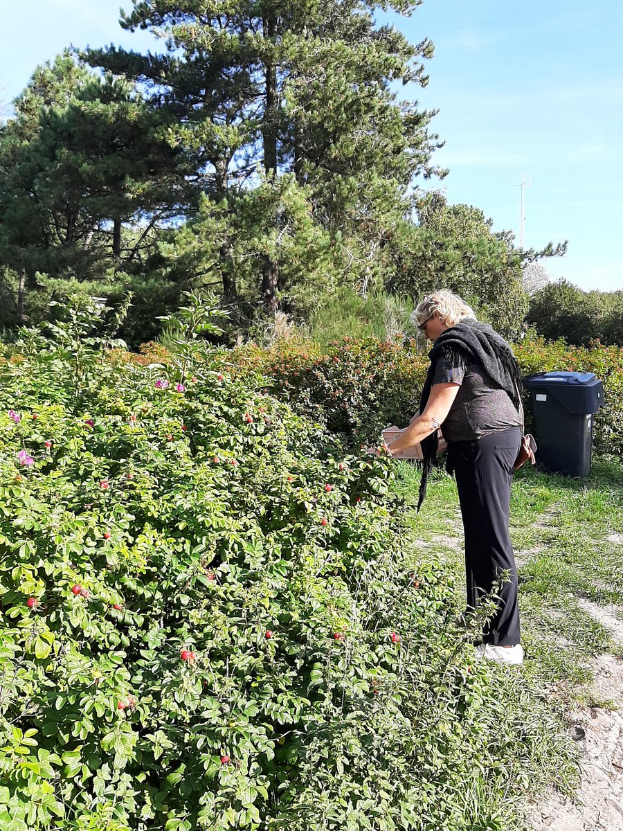 nickenmar's tweet photo. On tour met @lidytuil voor de Wijn en Spijs proeverij op de Zeesleepboot Holland 25oktober. #wildpluk #wild #puur #puurgenieten #ZeesleepbootHolland #Terschelling #Herfstvakantie https://t.co/Qda1bdl53c
