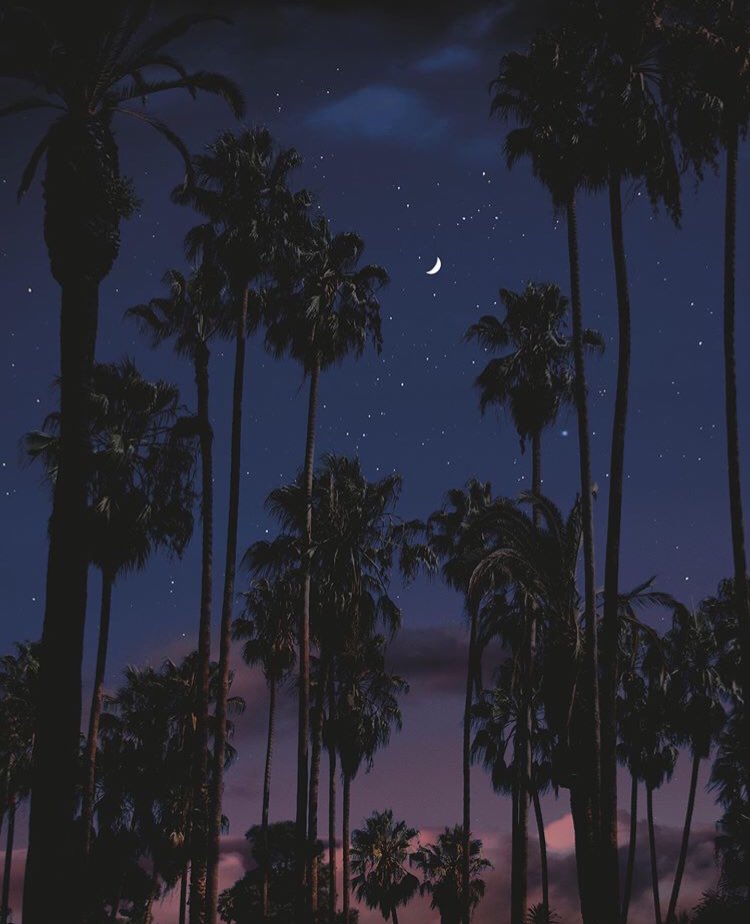 StellaSurreal's tweet photo. artist creed: @diztantdreamer on Instagram. #nightvibe #nightwave #moon #surreal https://t.co/x0yh8ucZHA