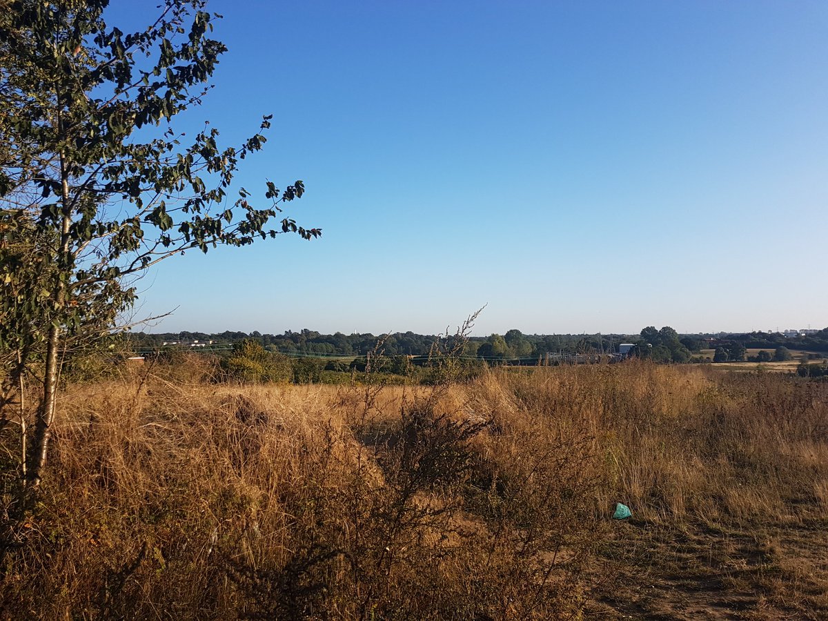 Kerry_Thinks's tweet photo. I'm really going to miss Norfolk when I go back to uni. These photos show the route Google maps took me to get where I needed to go. For the 40min journey I was only on roads for 10 minutes 🌳🌱 https://t.co/S8pRZ6qKIN