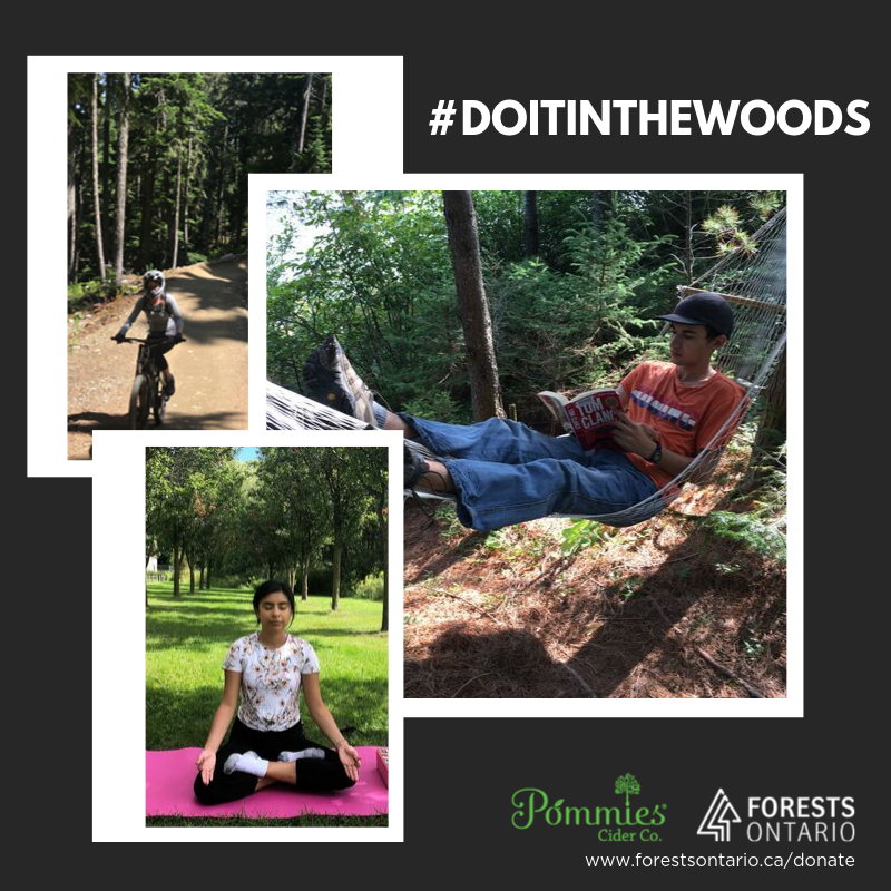 Forests Canada tweet media