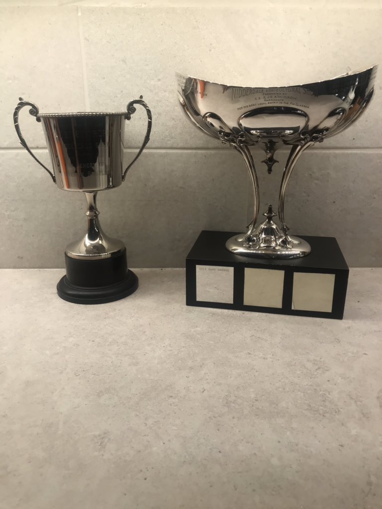 prospectpigs's tweet photo. It’s been a honour to look after theses 2 trophy’s for 12 months and have my name in history to have won them. Hopefully get to win them back again in the years to come. #prospecthouse #pigs #pietrain #showing #farming #nidderdaleshow #Pateley @nidderdaleshow @BritishPigAssoc https://t.co/vImNNJiejU