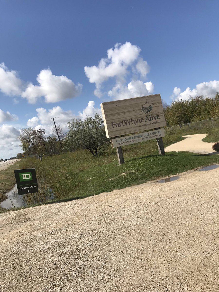 HalsteadMl's tweet image. Another year of #TDTreeDays 750 trees planted in 1 hour!! 🌲